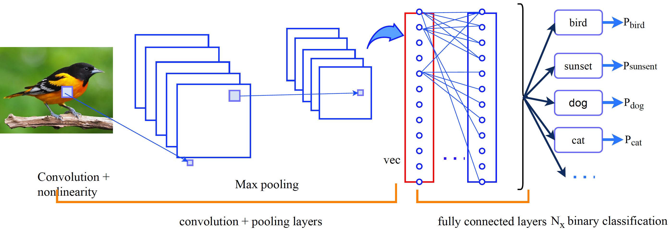 bird_detection